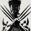 wolverinedvf